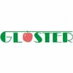 gloster-kft
